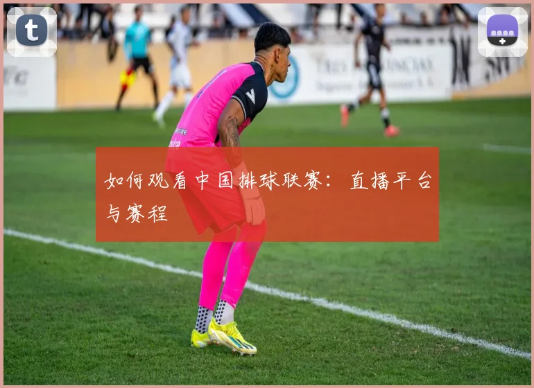 如何观看中国排球联赛：直播平台与赛程