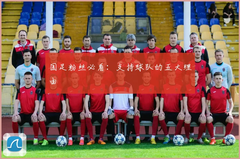 国足粉丝必看：支持球队的五大理由